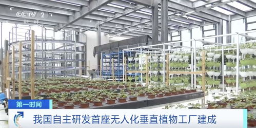 世界初！中國獨自開発の自動化垂直植物工場、生物技術普及サービスを牽引